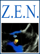 Z.E.N.